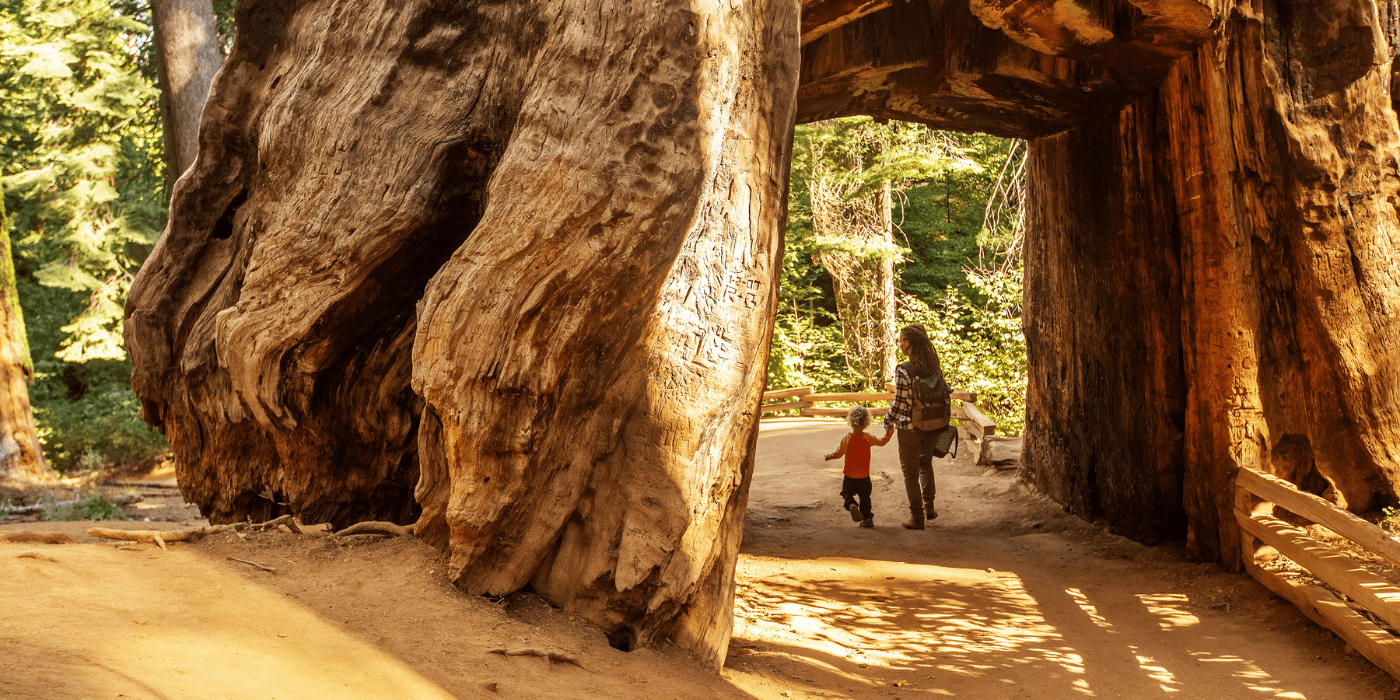 NP Yosemite, California, SAD