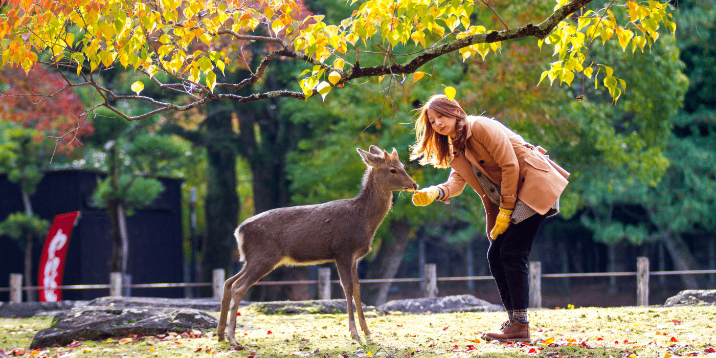 Nara, Japan