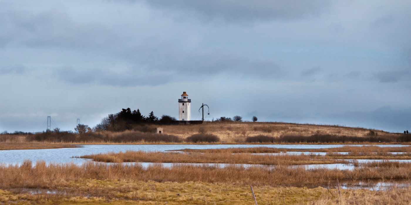Nyborg, Danska