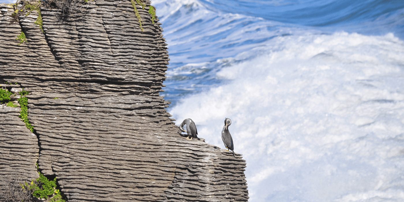 Punakaiki, Novi Zeland