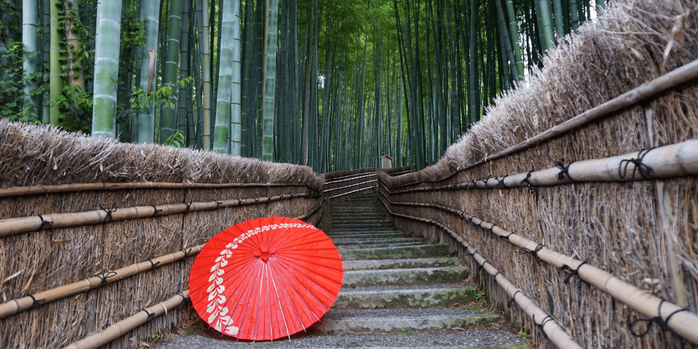 Šuma bambusa, Arashiyama, Japan