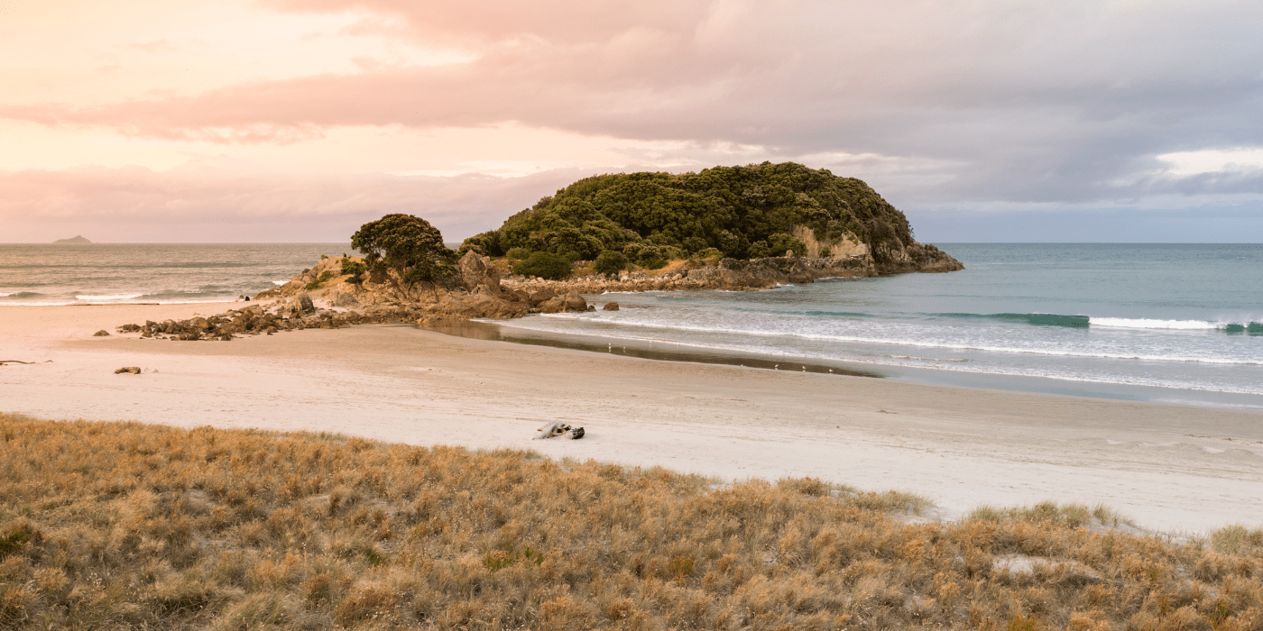 Tauranga, Novi Zeland