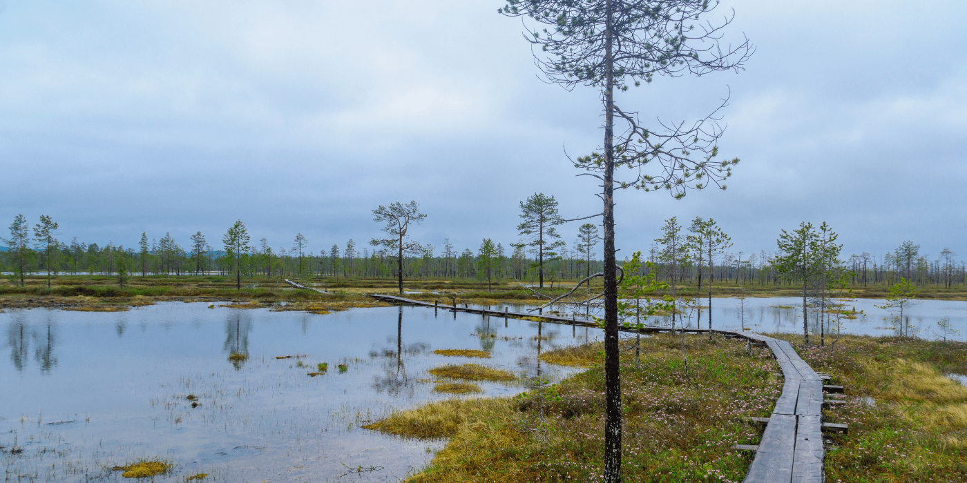 Nacionalni park, Pyha Luosto, Norveška