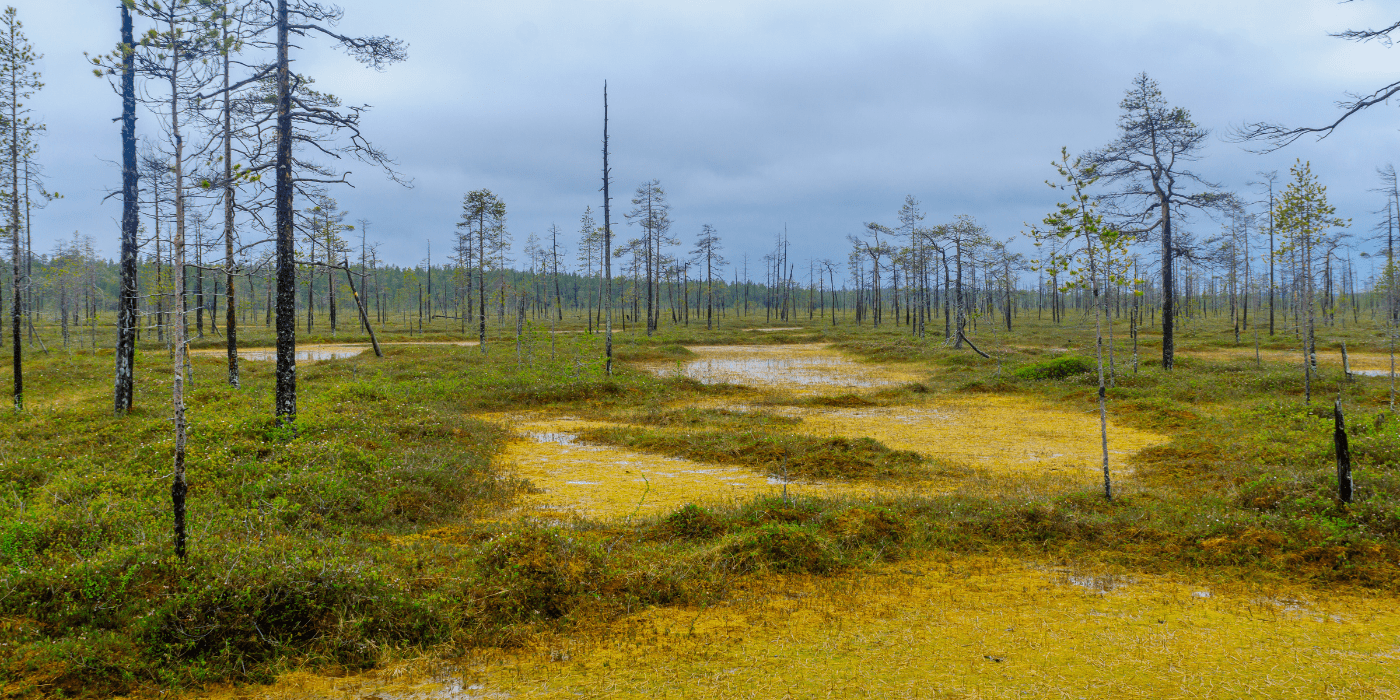 Nacionalni park, Pyha Luosto, Norveška