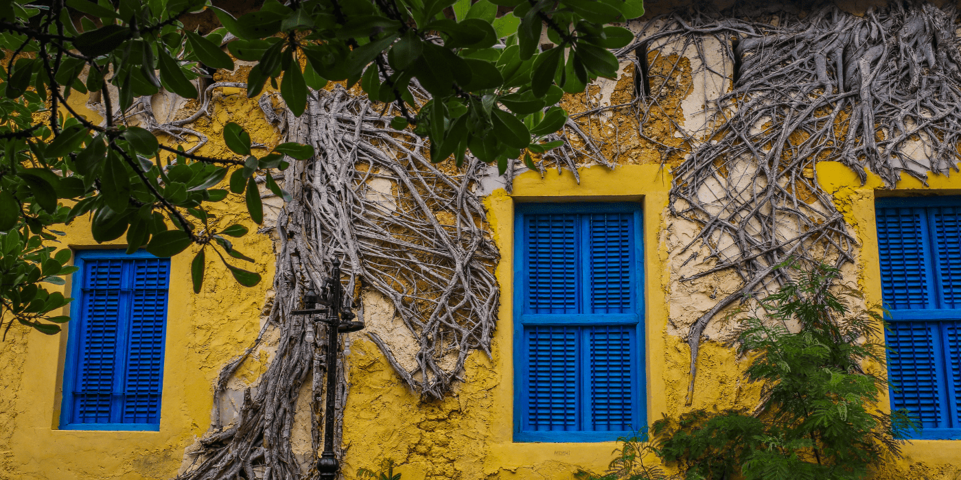 Prison Island, Tanzanija